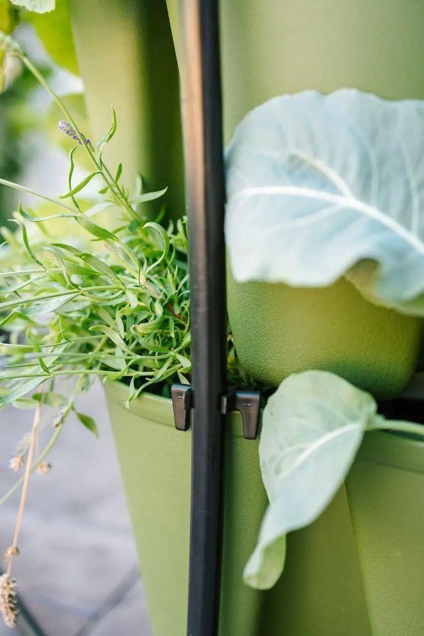 GreenStalk Garden Spring - Watering System - Team Grow