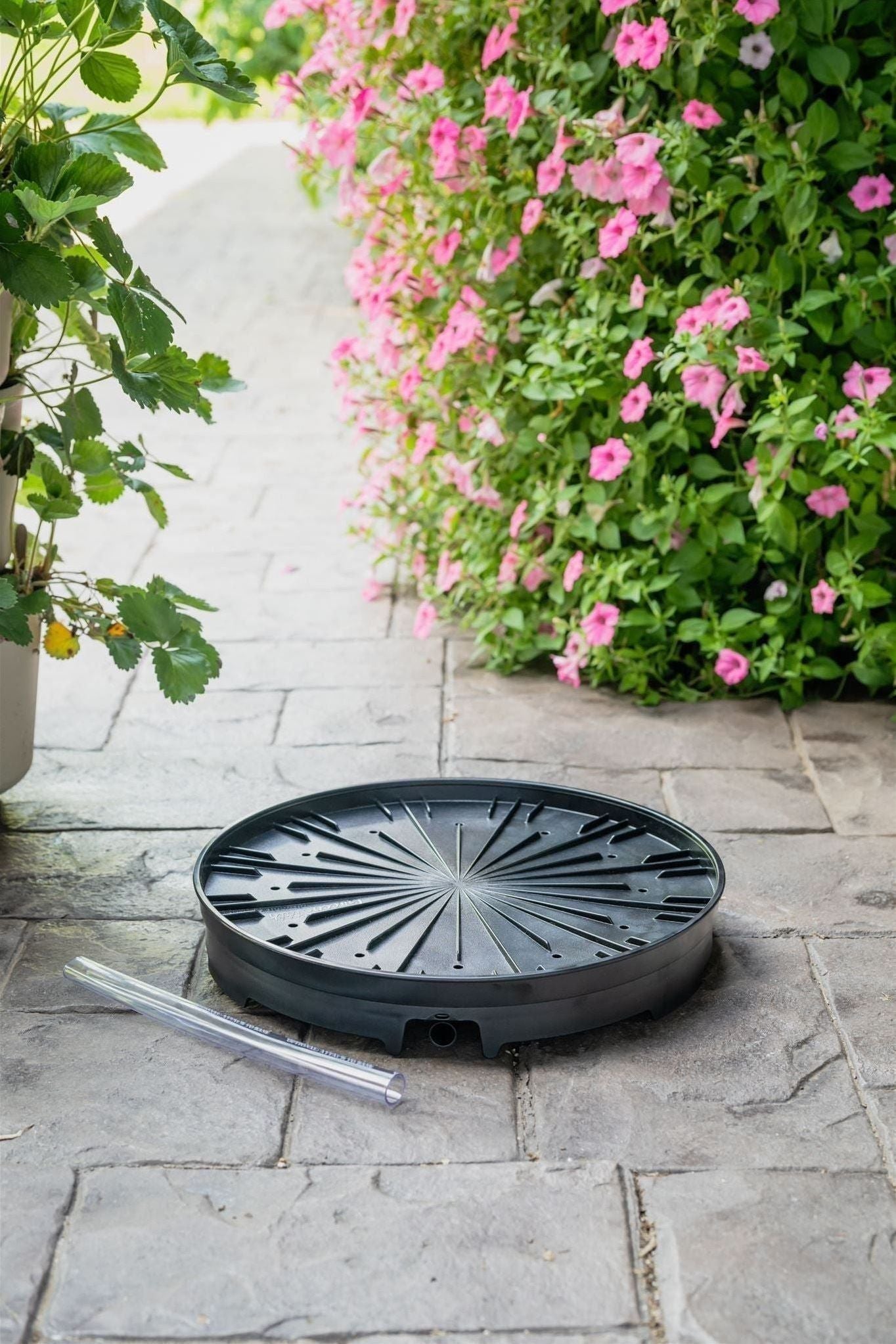 GreenStalk Garden Ultimate Spinner Base Only - Team Grow