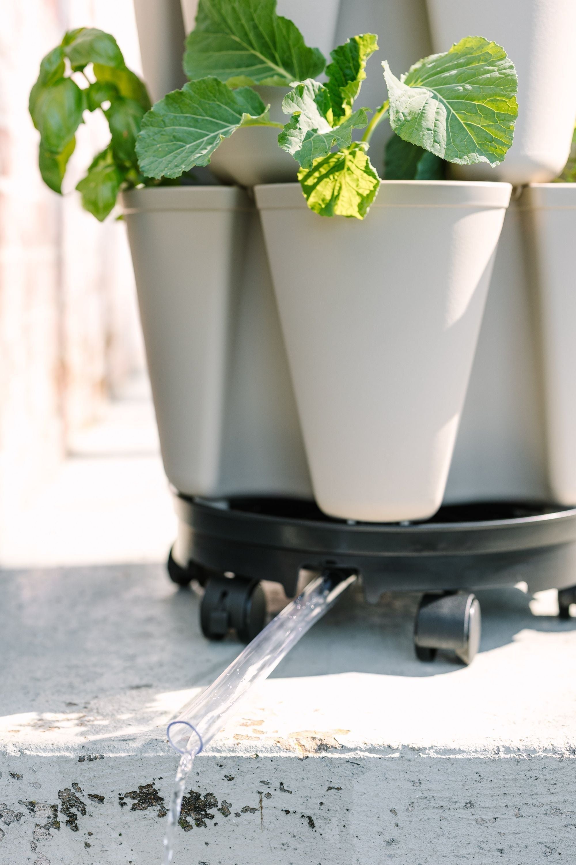 GreenStalk Garden Ultimate Spinner With Wheel Kit - Team Grow