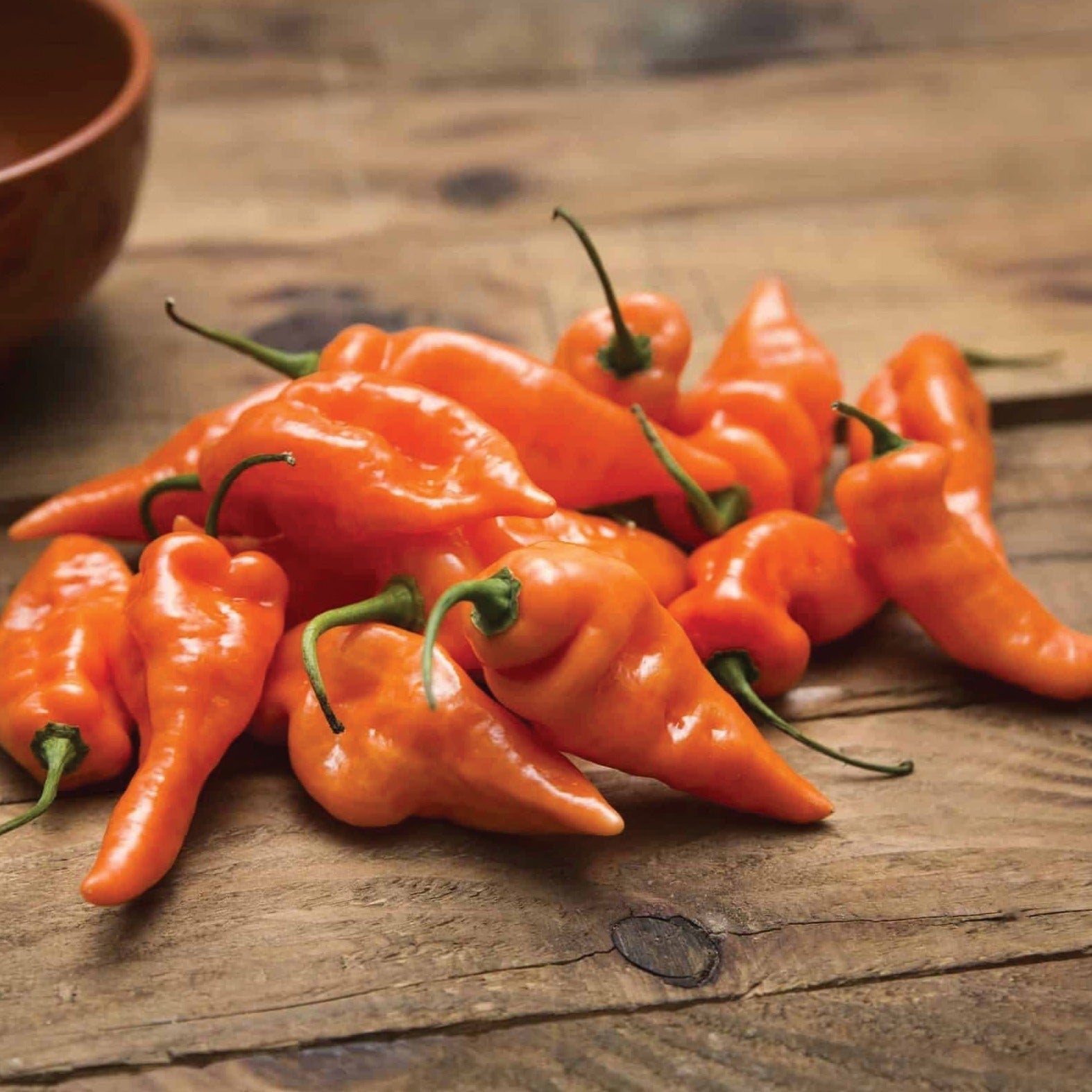 Habanada Pepper - Team Grow