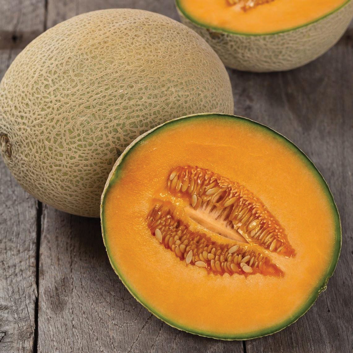 Hales Best Jumbo Cantaloupe Melon - Team Grow