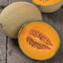 Hales Best Jumbo Cantaloupe Melon - Team Grow