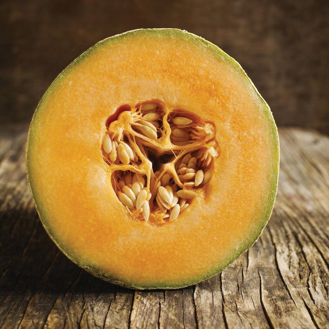 Honey Rock Melon - Team Grow