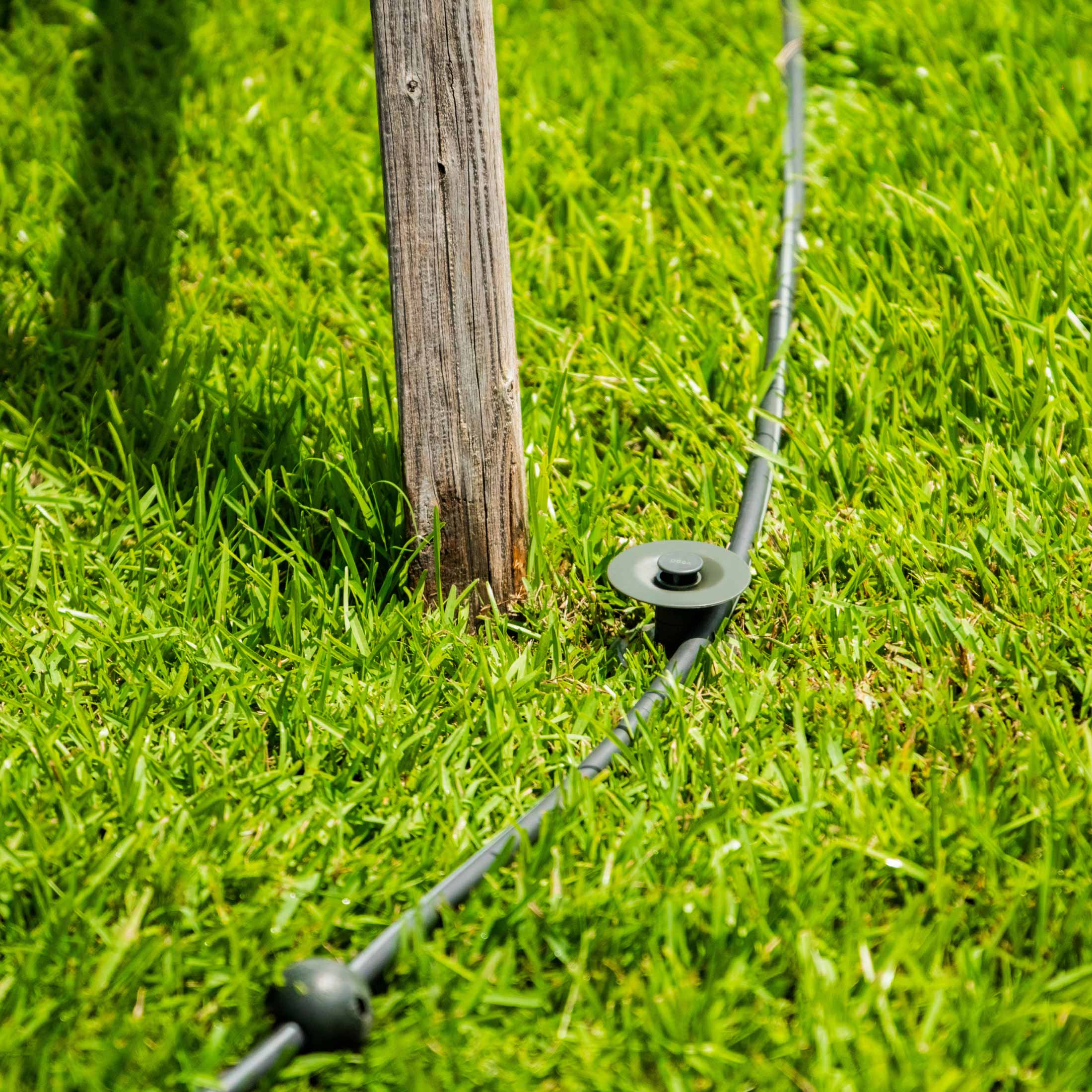 Hose Guide Spike - 2 Pack - Team Grow