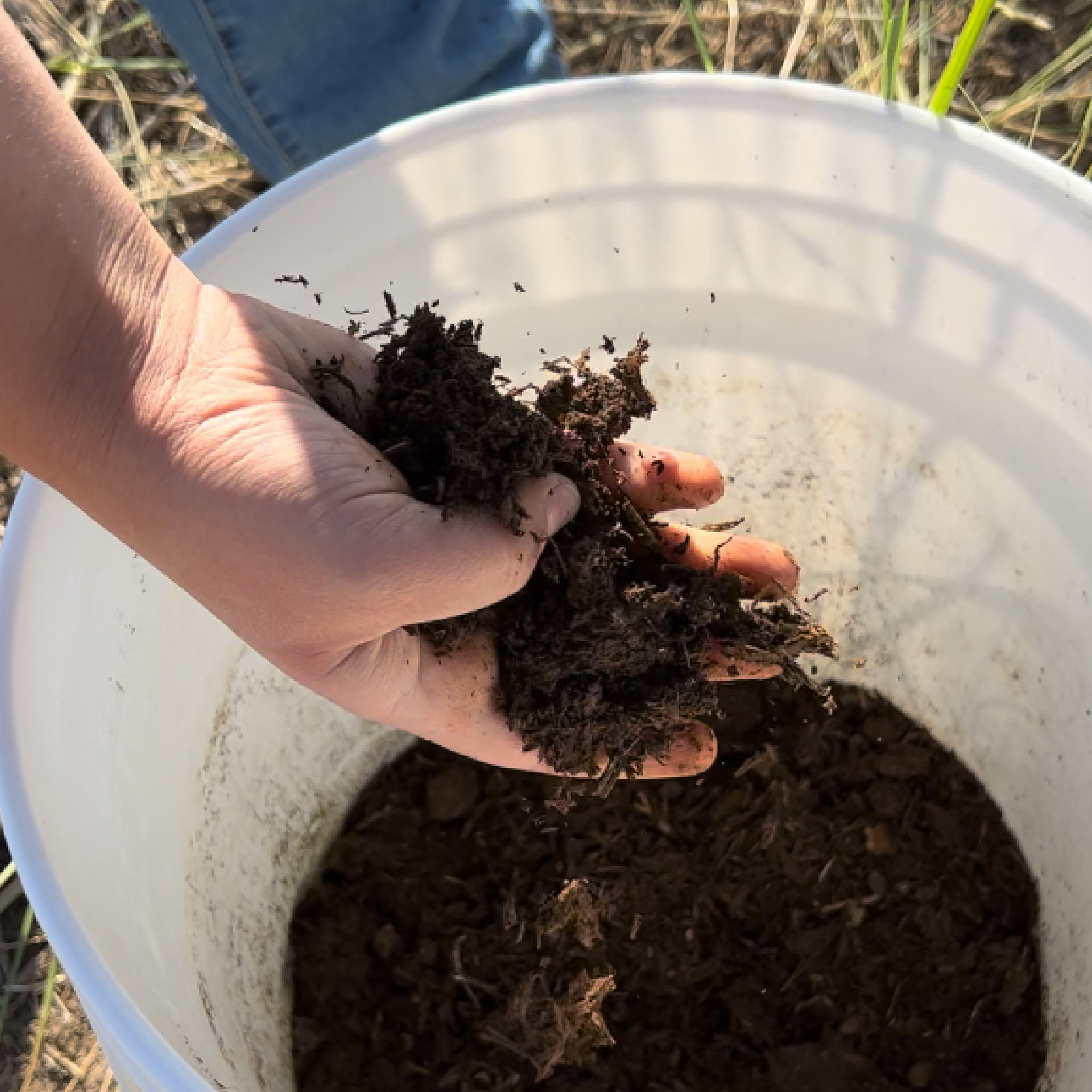 CottaCompost: Compost Olla Watering Kit For Your Compost Bin or Pile (olla water kit only)