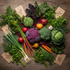 Fall Complete Garden Seed Collection — 15 Varieties