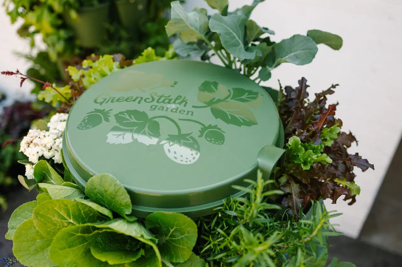 GreenStalk Spring - Automatic Watering System - GreenStalk Garden