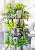 5 Tier GreenStalk Original Vertical Planter - GreenStalk Garden