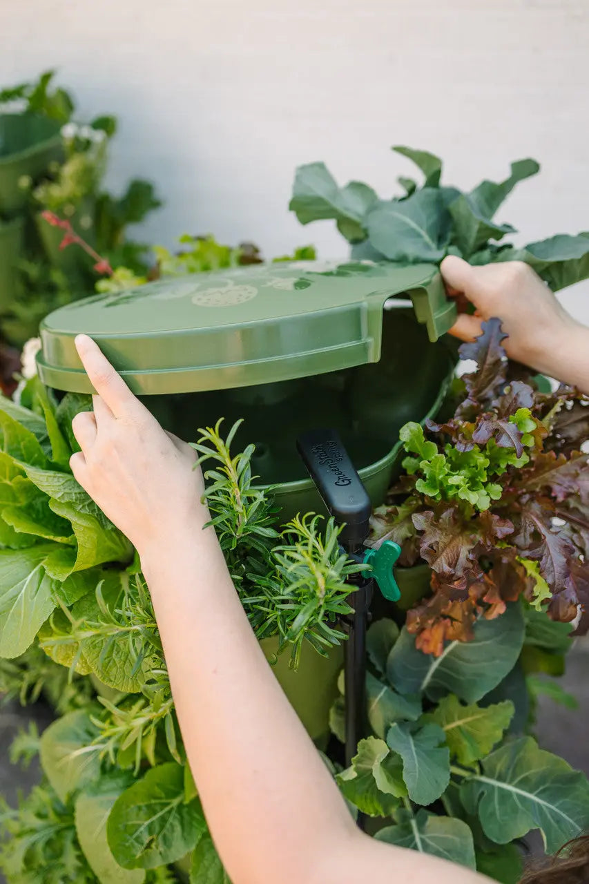 GreenStalk Spring - Automatic Watering System - GreenStalk Garden