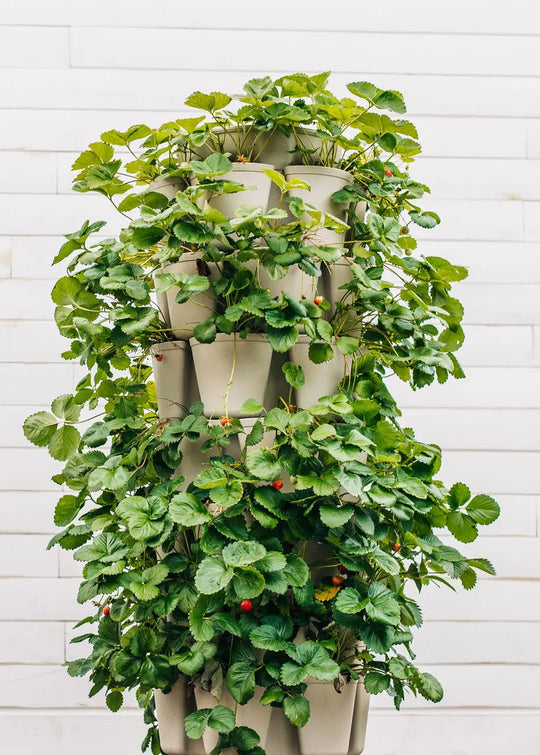 7 Tier GreenStalk Leaf Vertical Planter - GreenStalk Garden