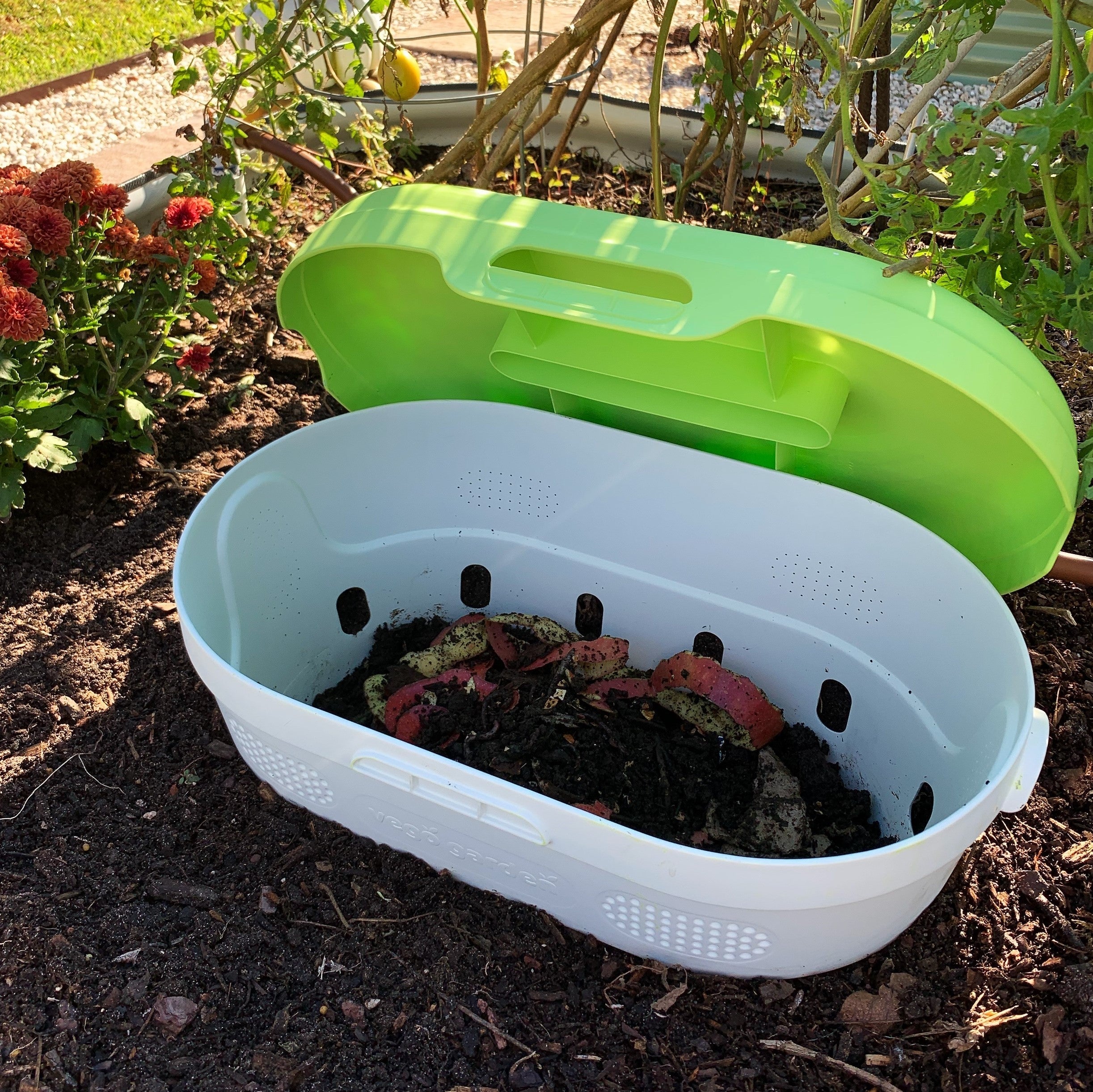 In - Ground Worm Composter - Team Grow