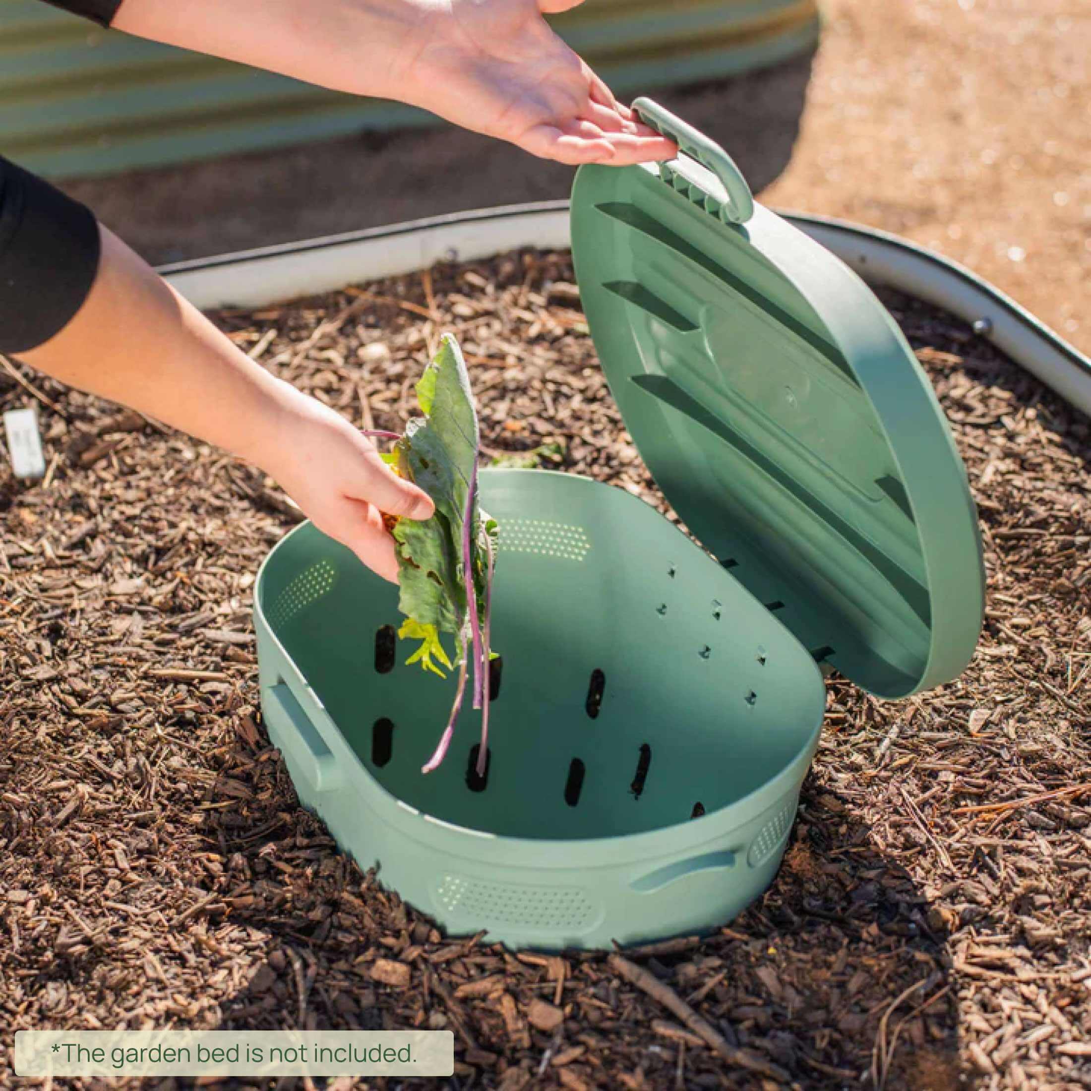 In - Ground Worm Composter - Team Grow