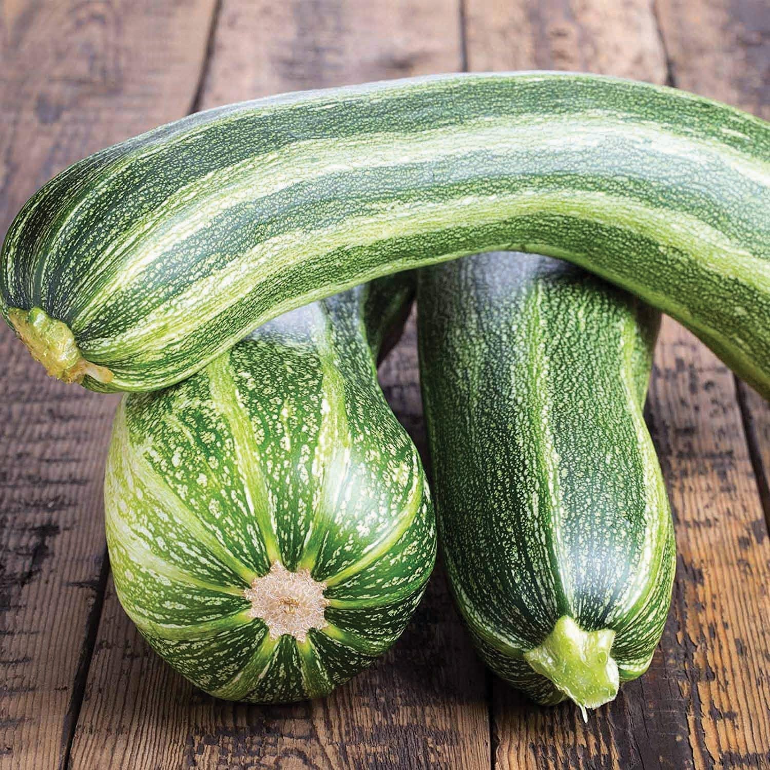 Italian Striped Zucchini - Team Grow
