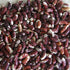 Jacob's Cattle Bean (Bush) - Team Grow