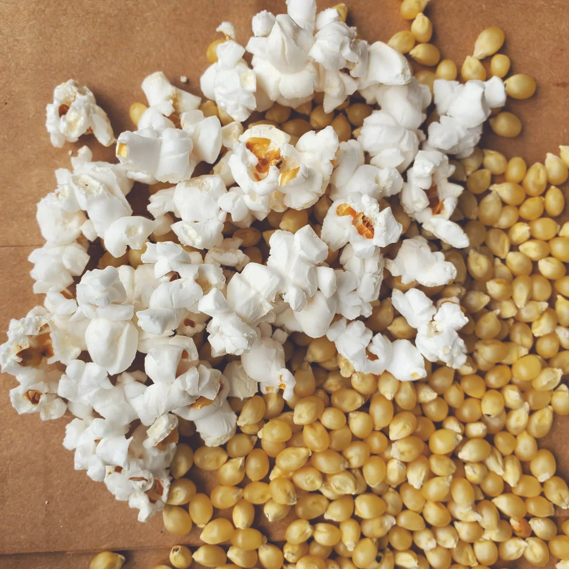 Japanese Hulless Popcorn - Team Grow