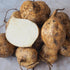 Jicama - Team Grow
