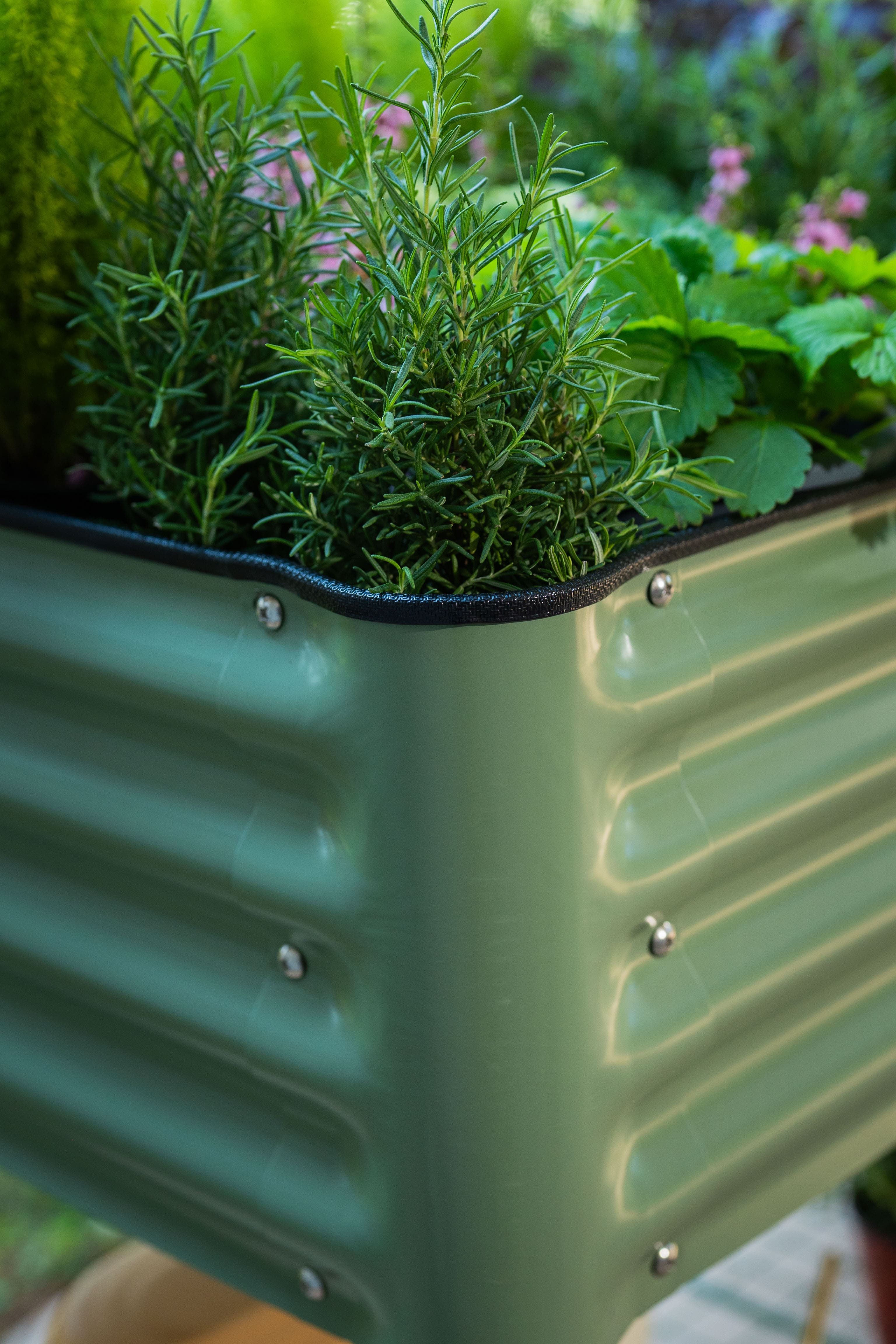 JP’s Elevated Garden Bed 2' x 4' - Team Grow