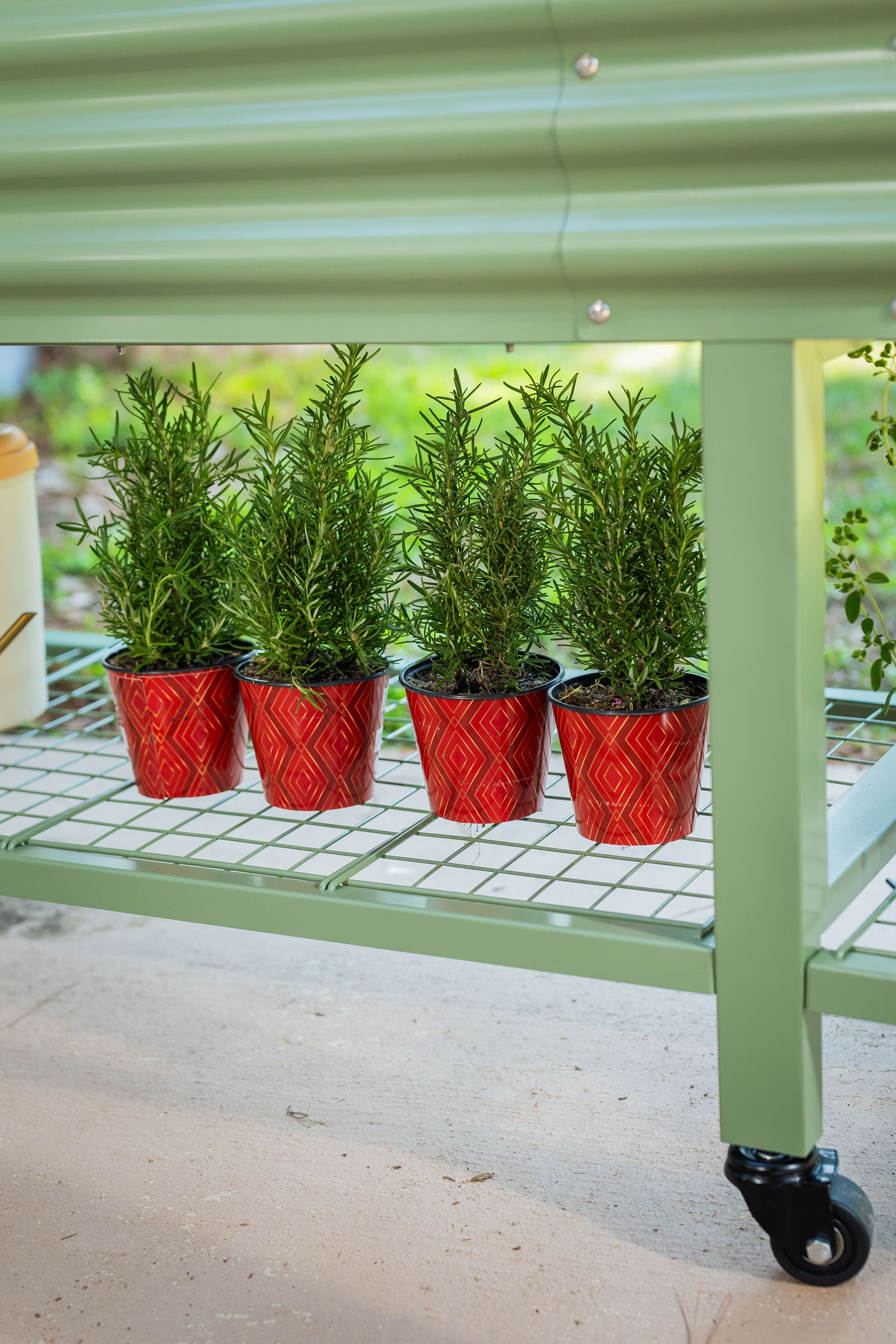 JP’s Elevated Garden Bed 2' x 4' - Team Grow