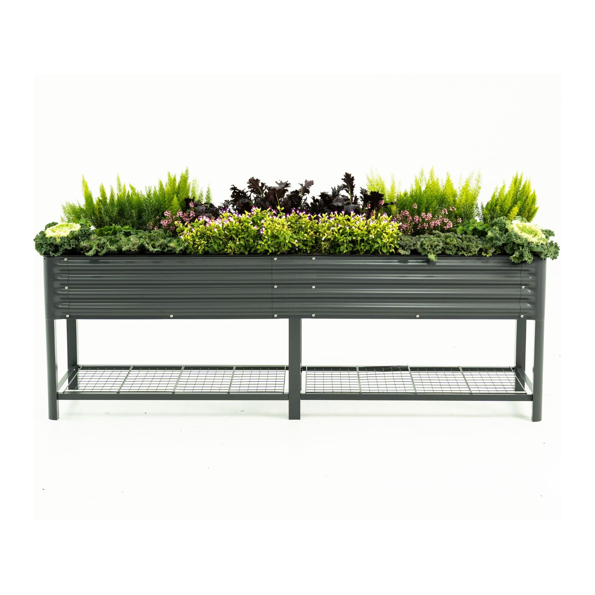 JP’s Elevated Garden Bed 2' x 4' - Team Grow