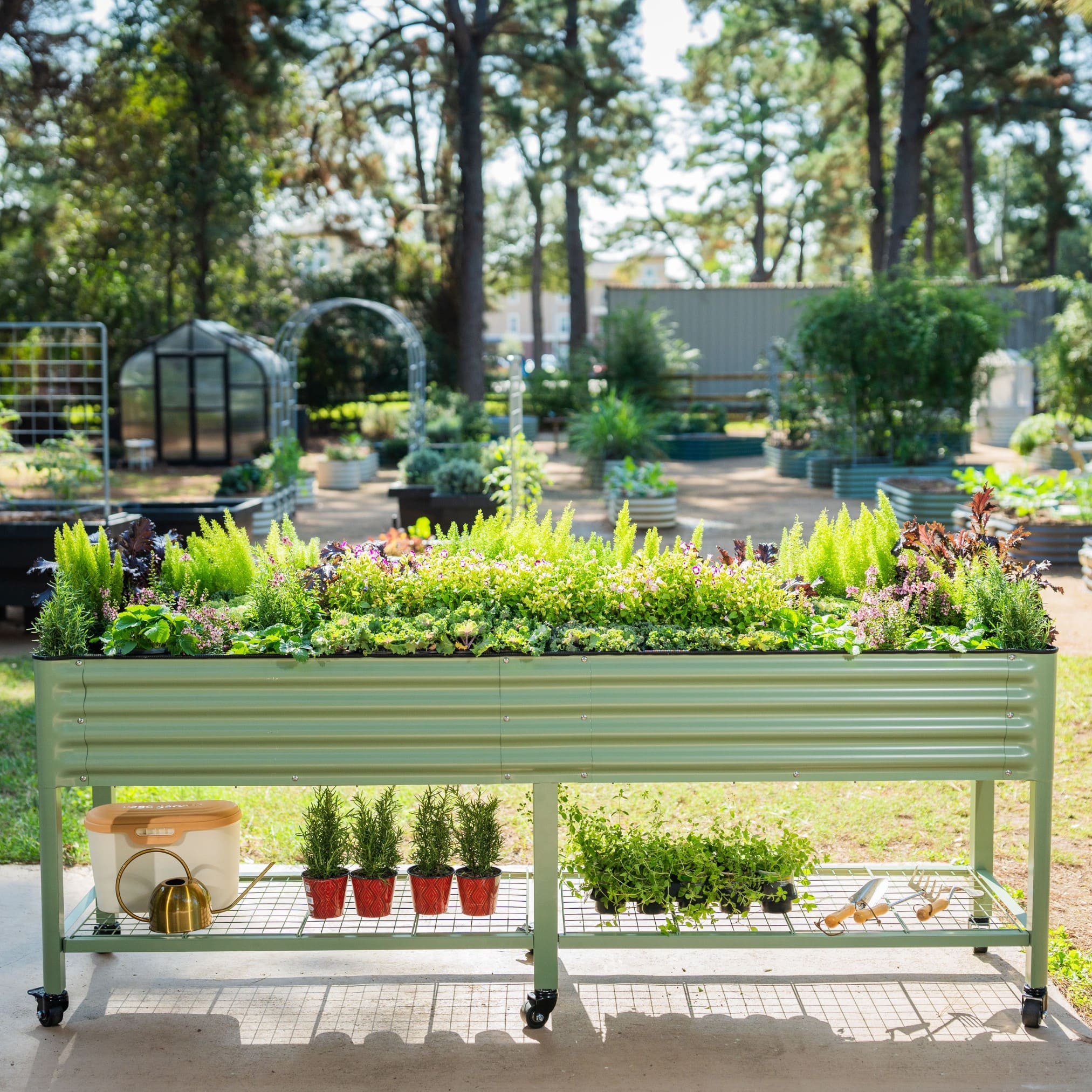 JP’s Elevated Garden Bed 2' x 4' - Team Grow