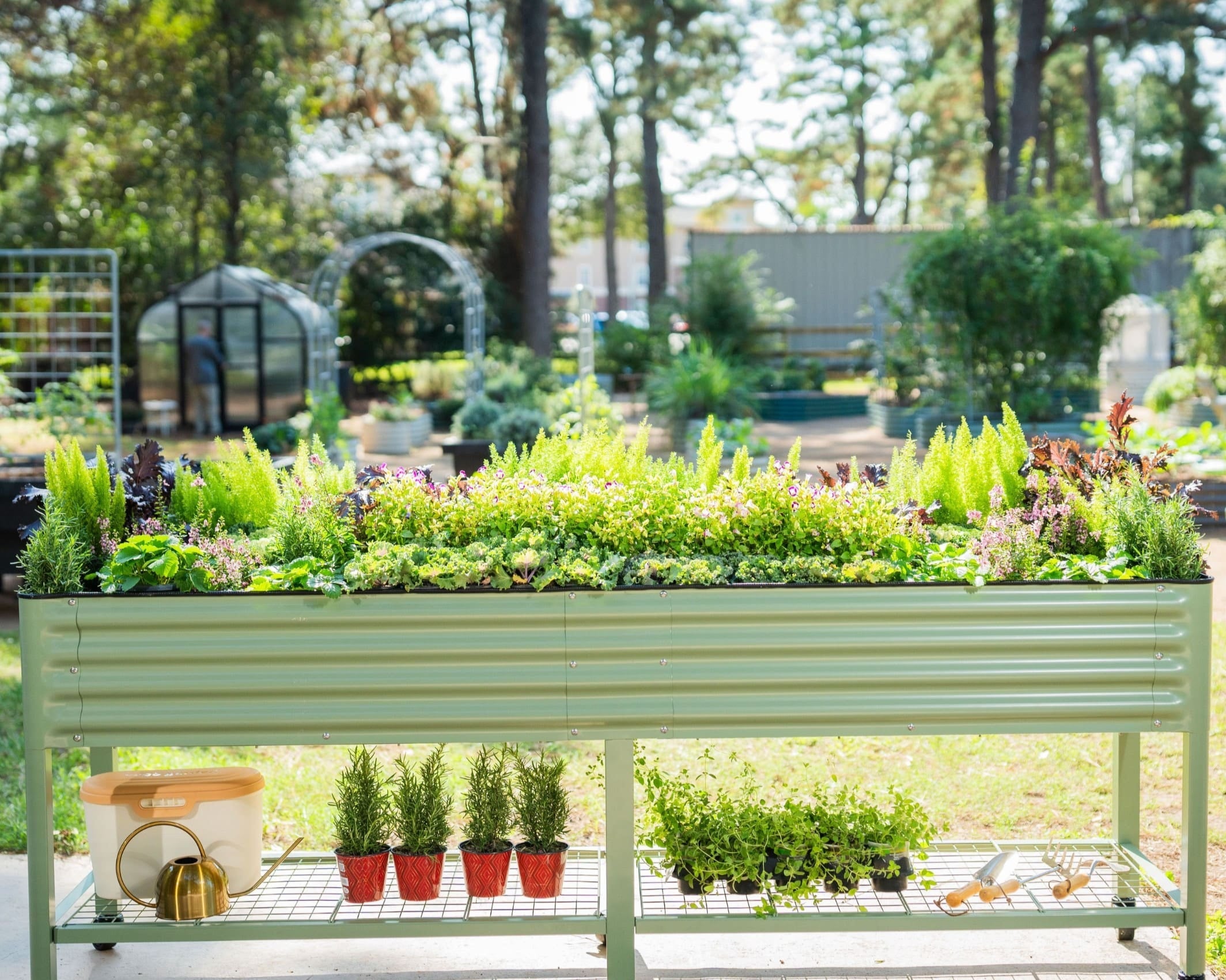 JP’s Elevated Garden Bed 2' x 6' - Team Grow