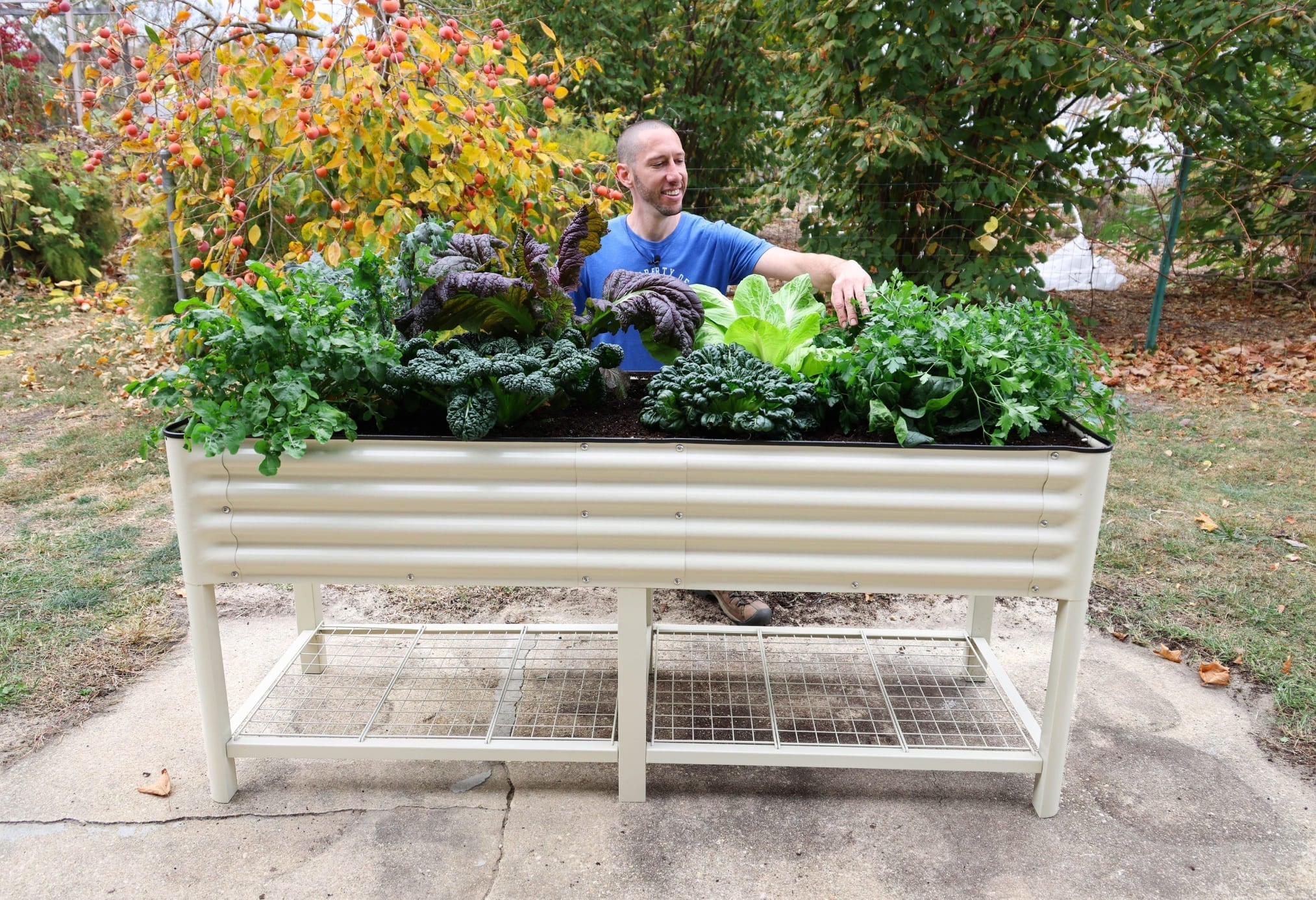 JP’s Elevated Garden Bed 2' x 8' - Team Grow