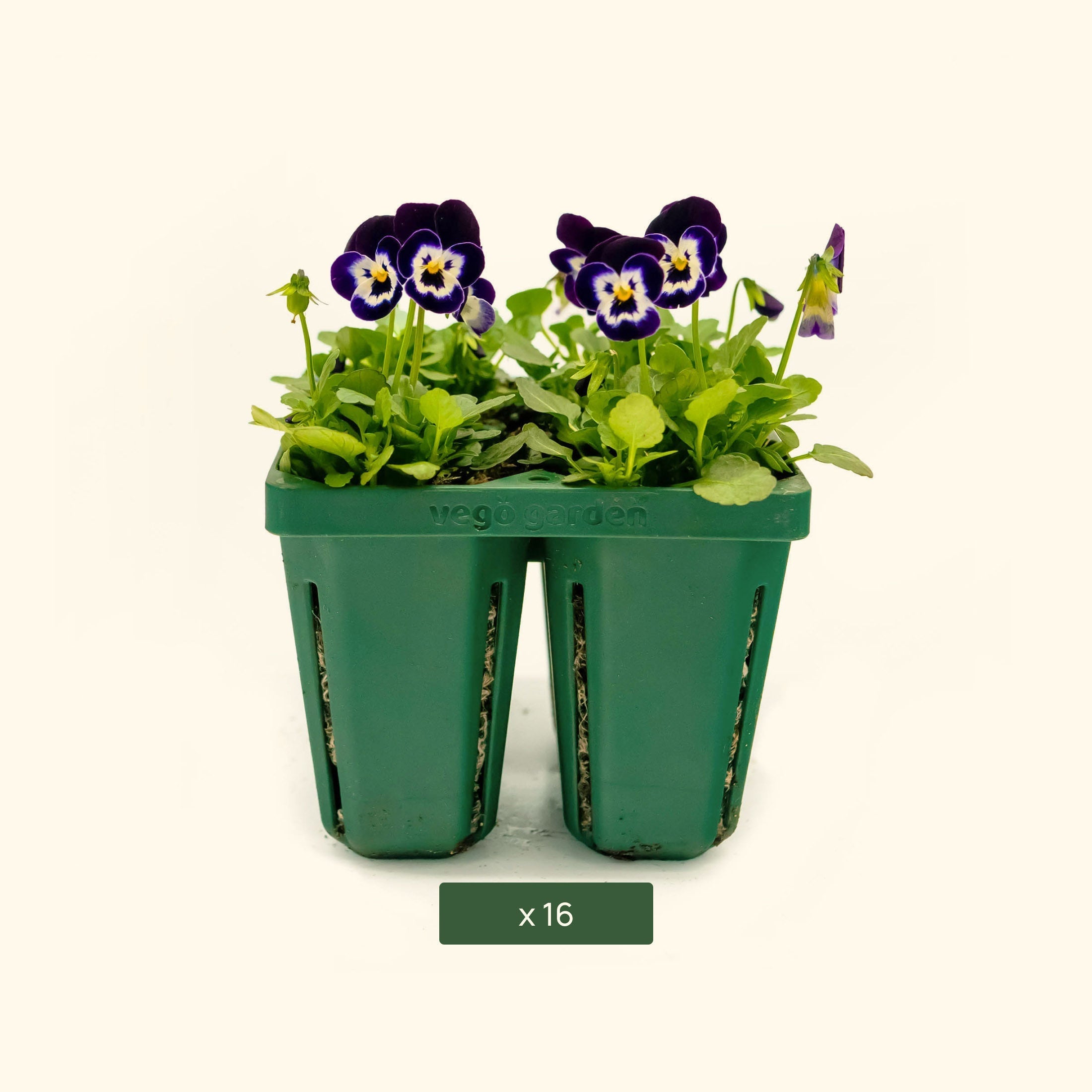 jumbo plant pots Jumbo Seedling Trays 32 Pack