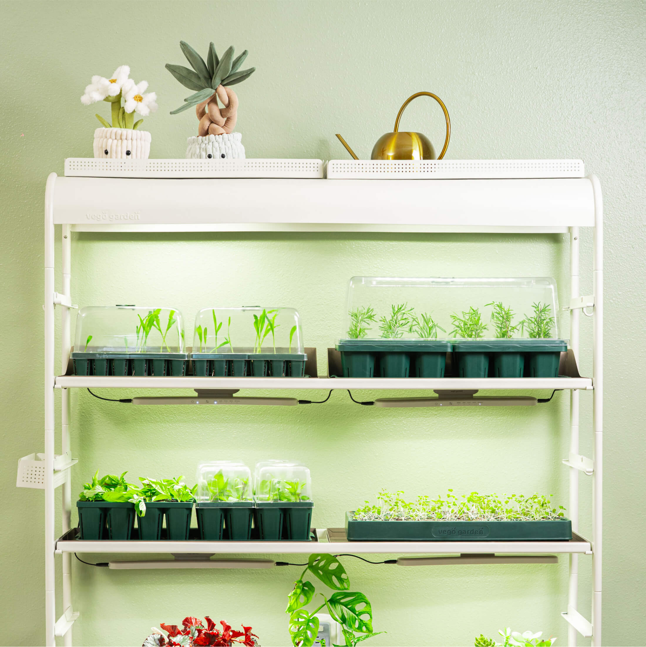 Jumbo/Giga 1020 Up Pot Bundle - Team Grow