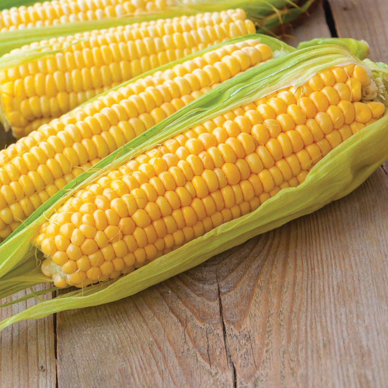 Kandy Korn Sweet Corn - Team Grow