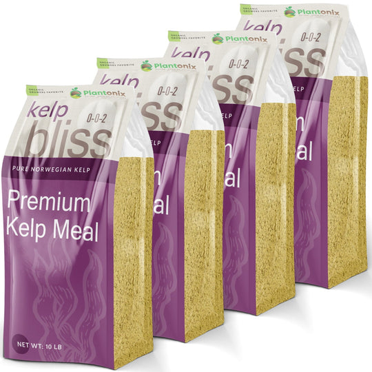 Kelp Bliss  Premium Pure Norwegian Kelp Meal Soil Amendment