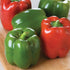 Keystone Giant Bell Pepper - Team Grow