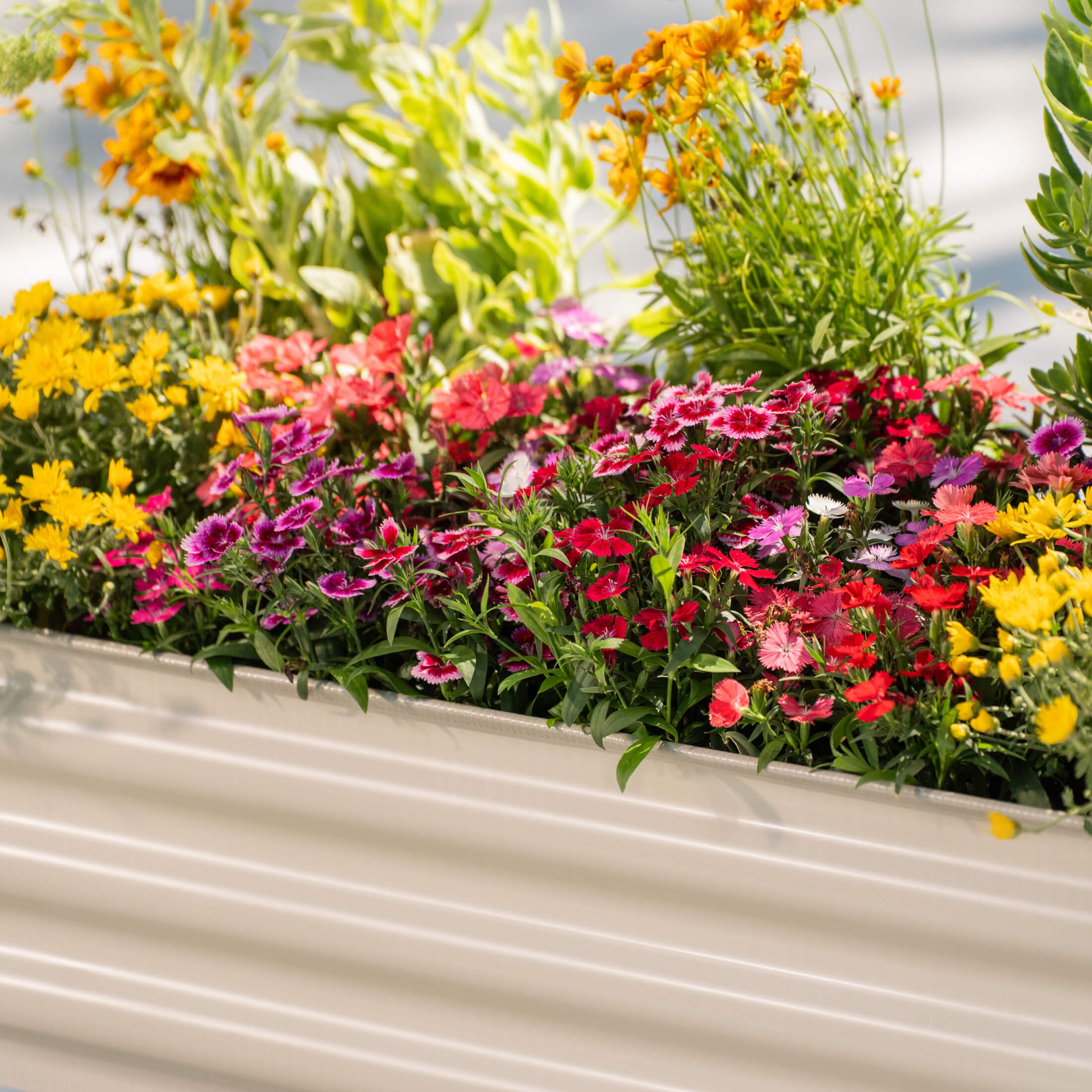 Kids First Elevated Garden Bed  - 1.3‘ x 3.0' - Team Grow