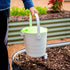 Kitchen Compost Caddy - Team Grow