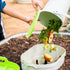 Kitchen Compost Caddy - Team Grow