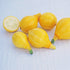 Lemon Squash - Team Grow