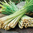 Lemongrass - Team Grow