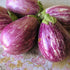 Listda De Gandia Eggplant - Team Grow