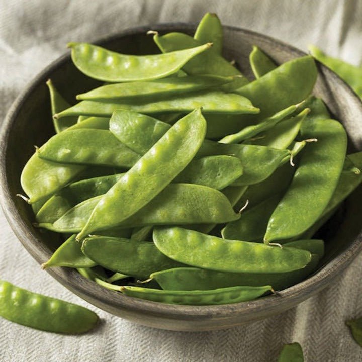 Mammoth Melting Snow Pea - Team Grow