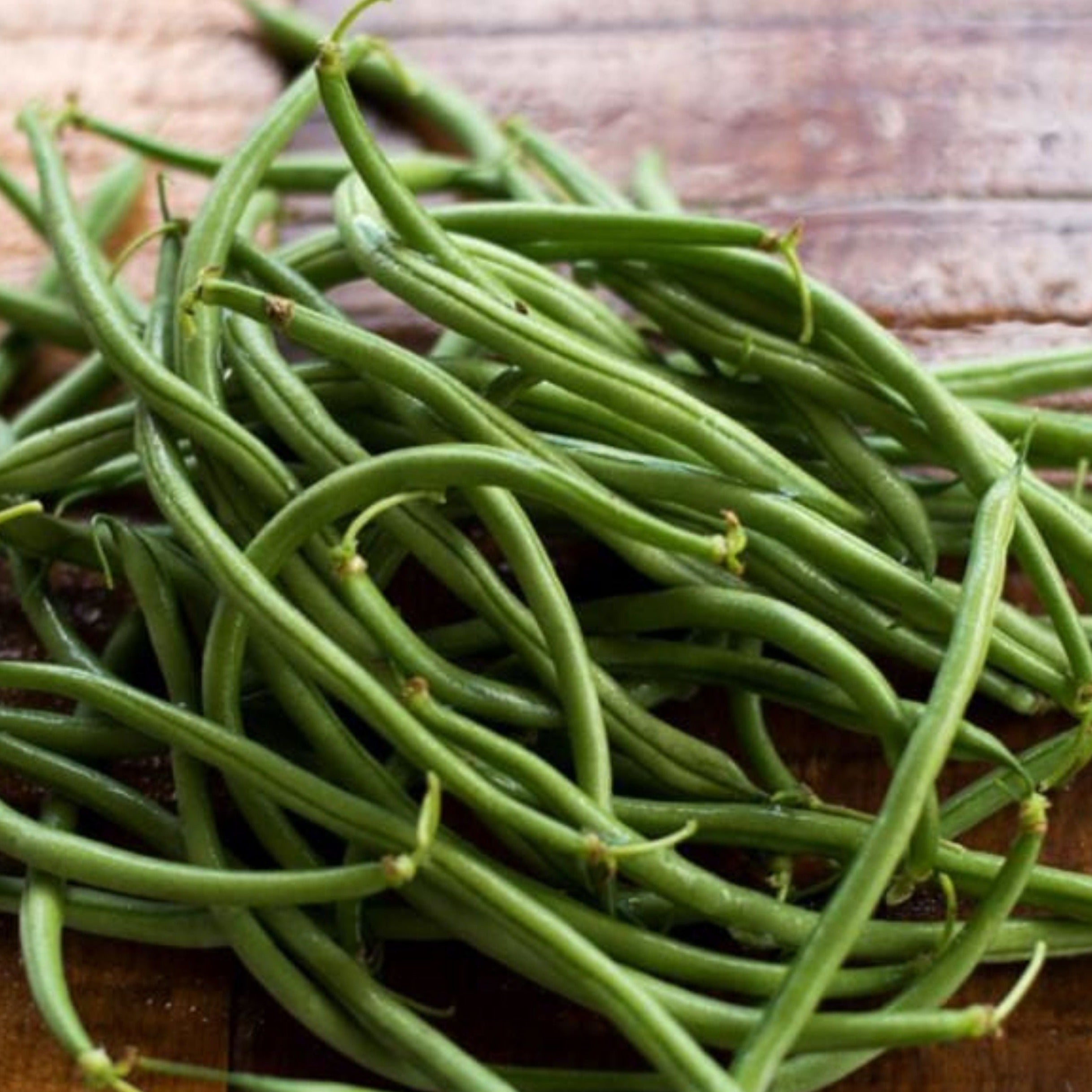Maxibel Haricot Bean (Bush) - Team Grow