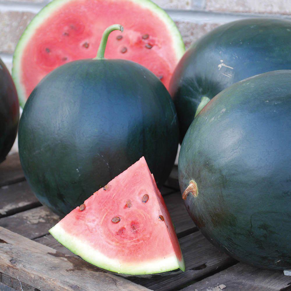 Black Diamond Watermelon