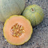 Minnesota Midget Cantaloupe Melon - Team Grow