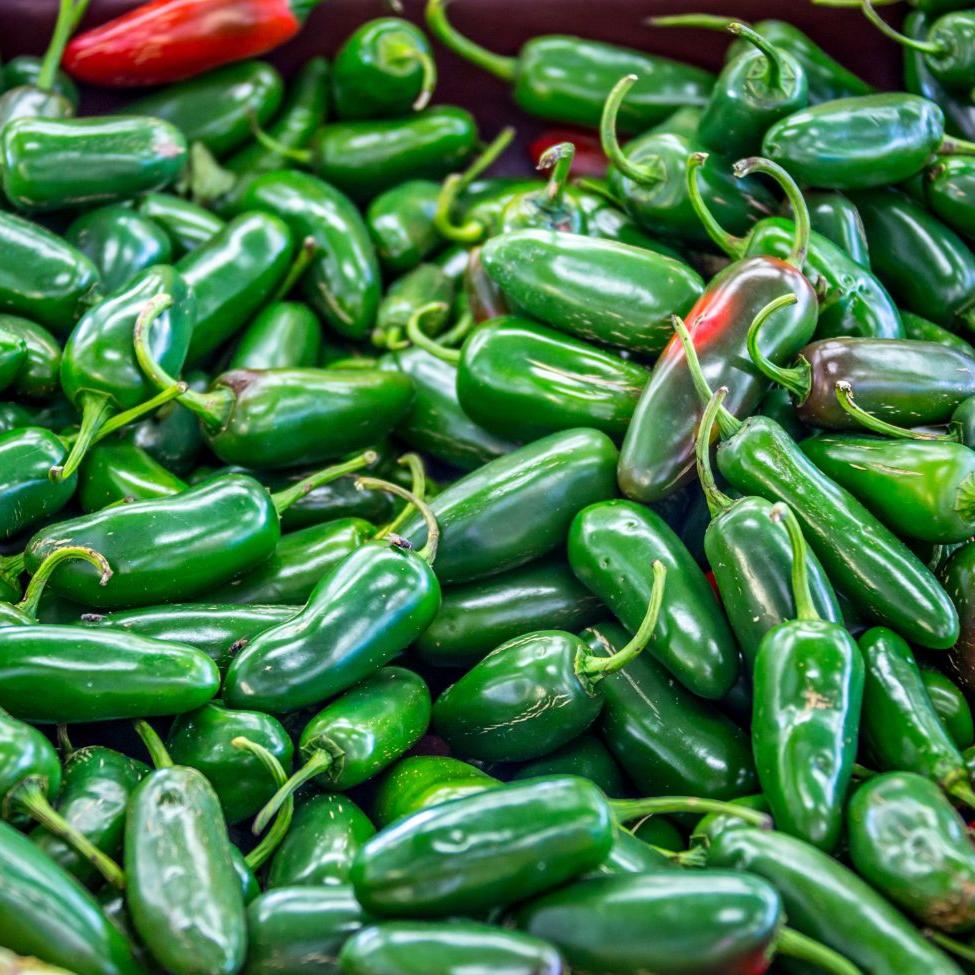 Nadapeno Pepper - Team Grow
