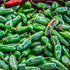 Nadapeno Pepper - Team Grow