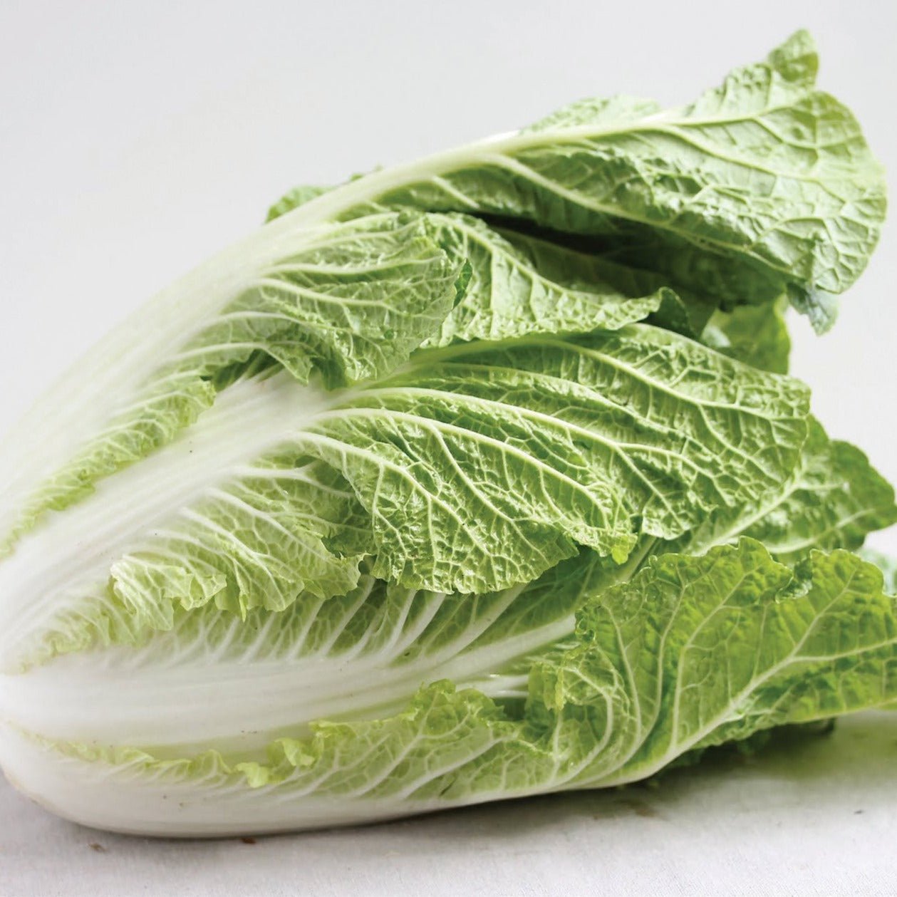 Napa Cabbage - Team Grow
