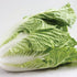 Napa Cabbage - Team Grow