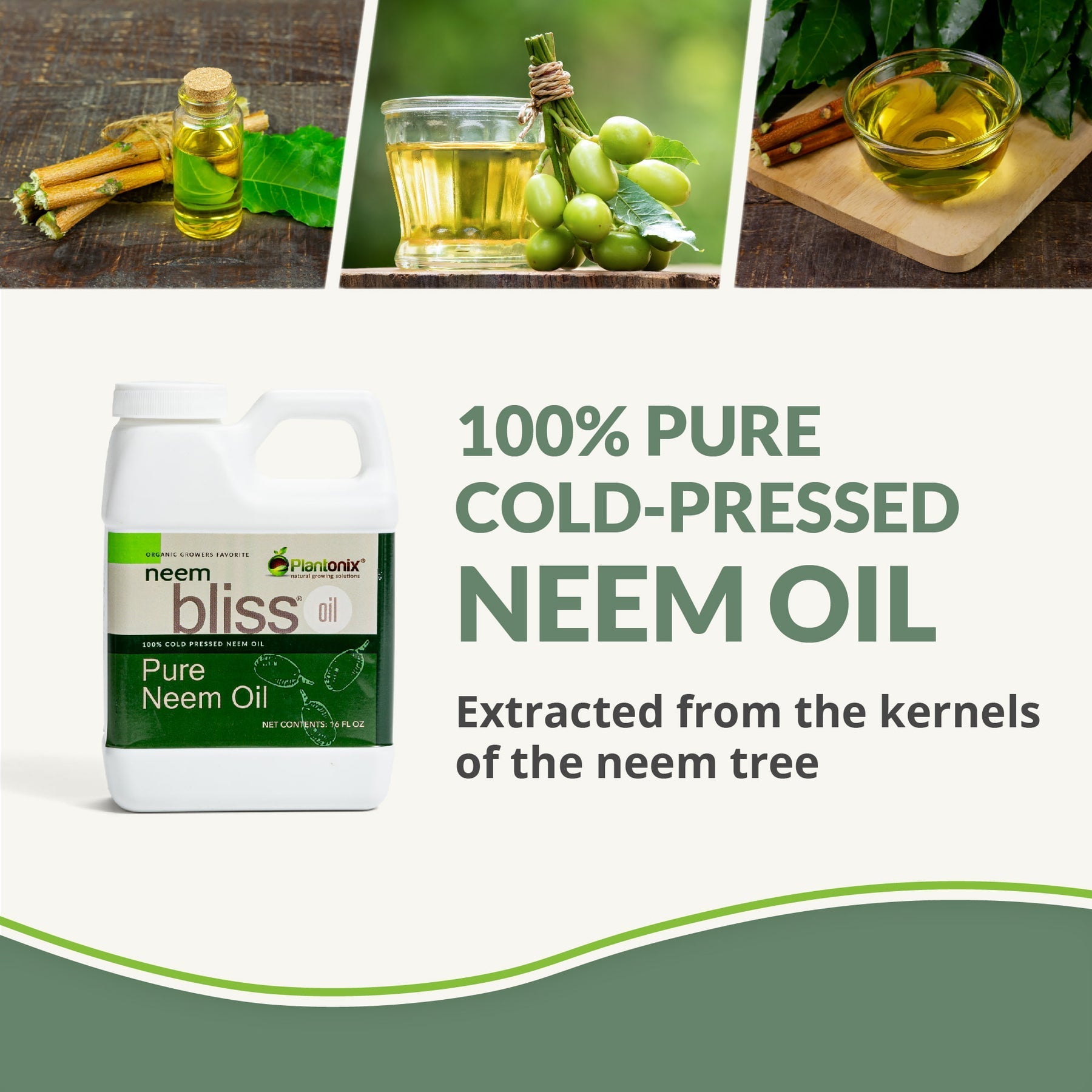 areca palm neem oil Neem Bliss Oil 100% Pure Cold Pressed Neem Oil OMRI Listed – Team Grow
