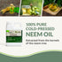 Neem Bliss Oil 100% Pure Cold Pressed Neem Oil OMRI Listed - Team Grow