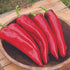 Numex Joe Parker Pepper - Team Grow