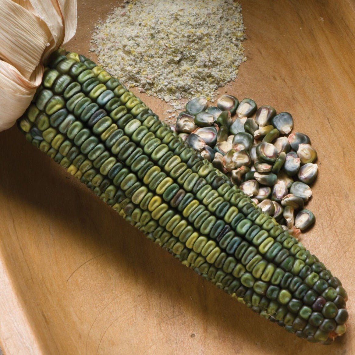 Oaxacan Green Dent Corn - Team Grow