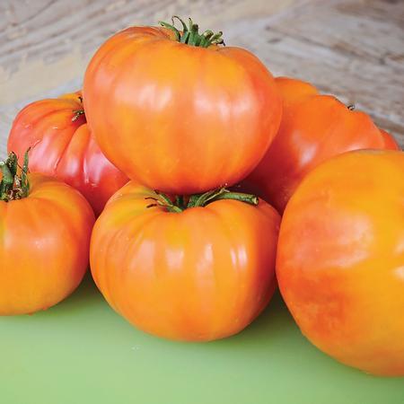 Old German Tomato - Team Grow